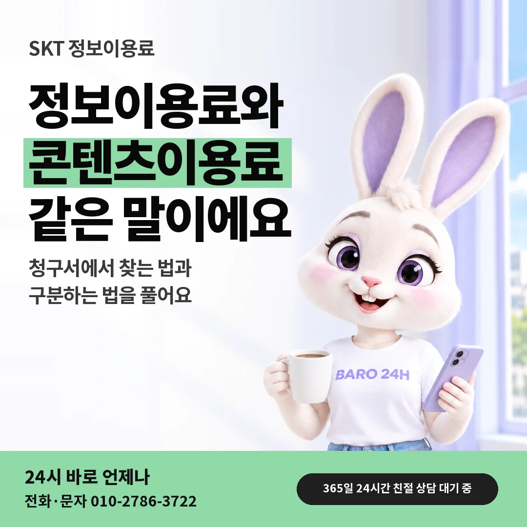 BARO 24H 티셔츠를 입은 3D 토끼 캐릭터 옆에 「SKT 정보이용료 이름 풀이」 제목을 얹은 안내 카드
